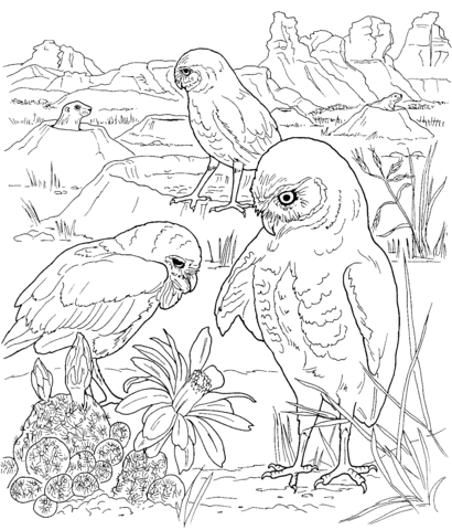 Three Owls Coloring page