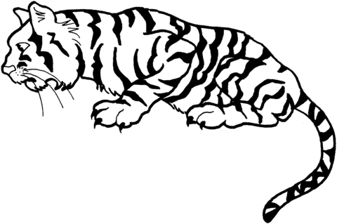 Tiger 2 Coloring page