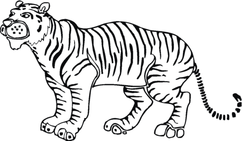 Tiger 9 Coloring page