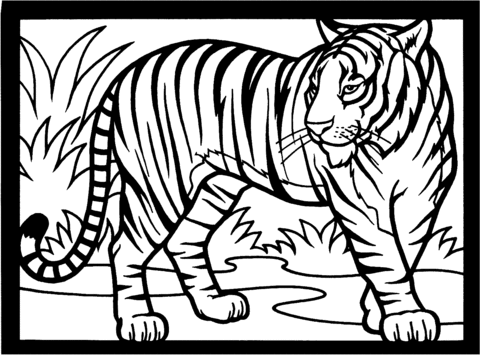 Tiger Coloring page