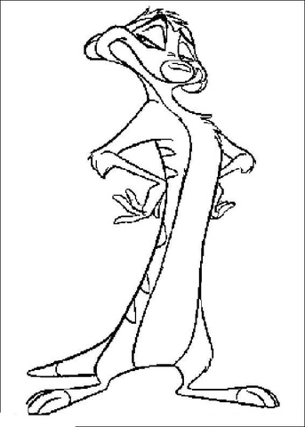 Timon  Coloring page