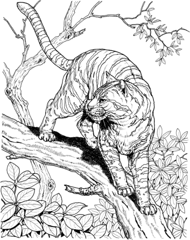 Tiger in a Jungle Coloring page