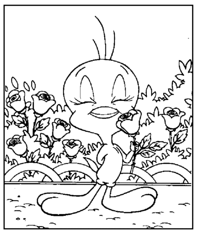 Tweety in the Garden Coloring page