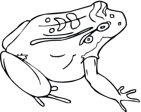 Toad 5 Coloring page