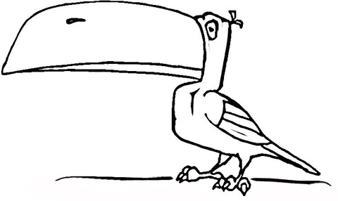 Toucan  Coloring page