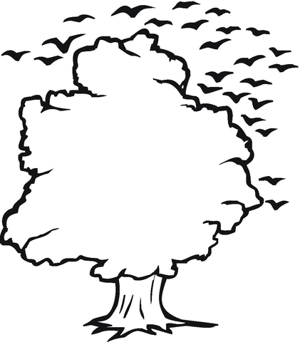 Tree and Birds Outline  Coloring page