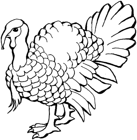 Turkey 2 Coloring page