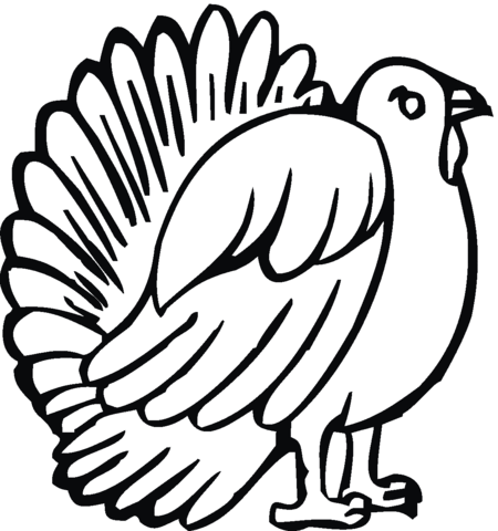 Turkey 21 Coloring page