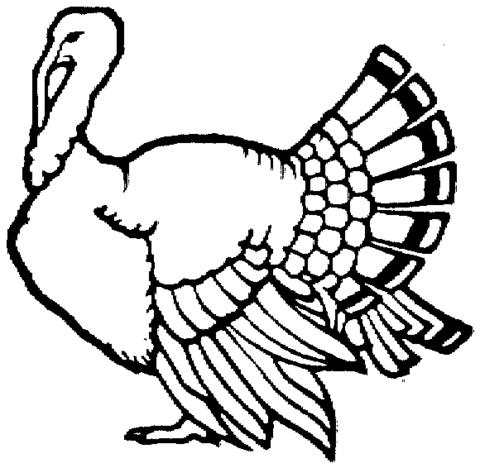 Turkey Coloring page