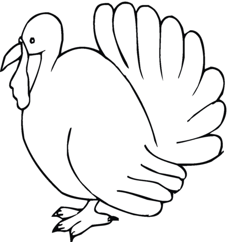 Turkey outline Coloring page