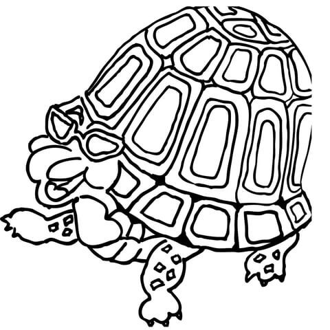 Turtle in Glasses  Coloring page