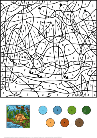 Turtle in Pond Color by Number Coloring page