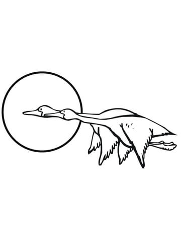 Two Flying Geese Coloring page