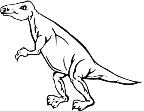 Tyrannosaurus 13 Coloring page