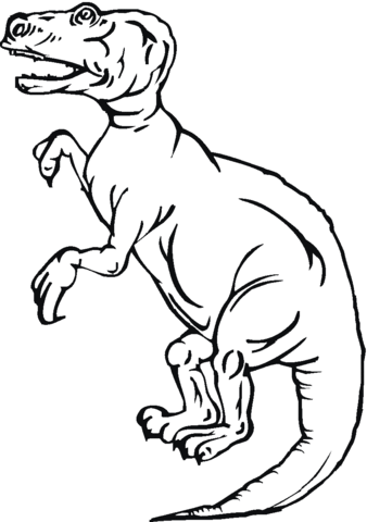 Tyrannosaurus 14 Coloring page