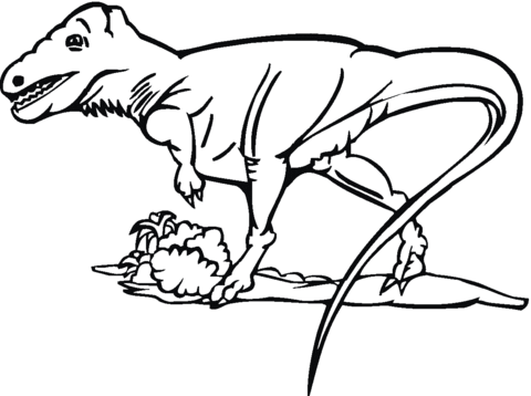 Tyrannosaurus 15 Coloring page