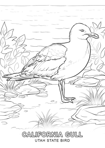 Utah State Bird Coloring page