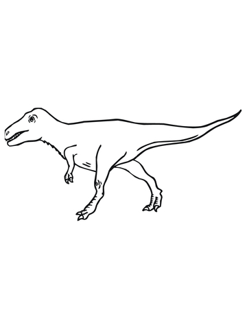 Velociraptor Cretaceous Period Dinosaur Coloring page