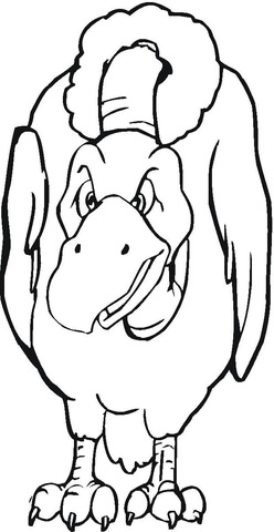 Vulture Bird  Coloring page