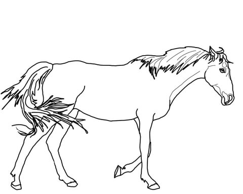 Walking Thoroughbred Horse Coloring page