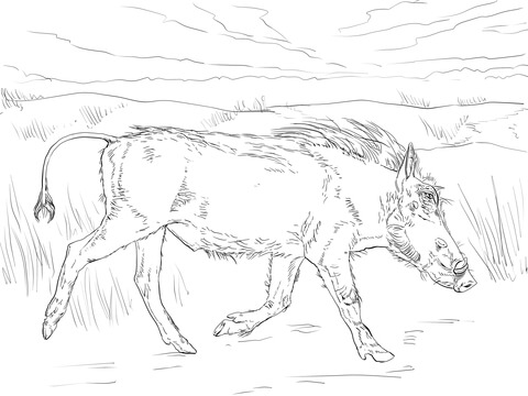 Walking Warthog Coloring page