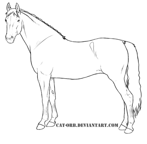 Warmblood Mare Coloring page