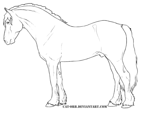 Welsh Cob Coloring page