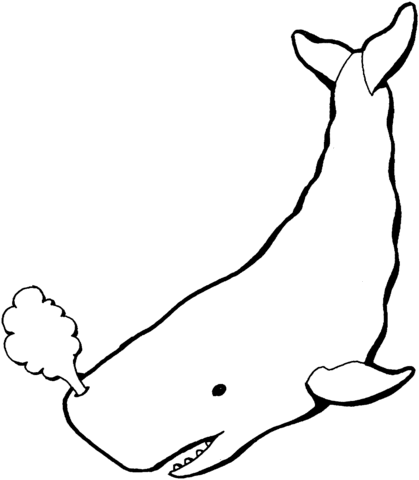 Sperm Whale 5 Coloring page