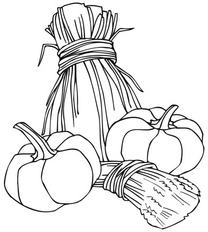 Wheat Sheaves and Pumpkins  Coloring page