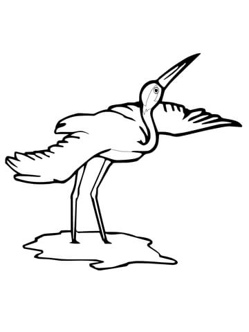 Whooping Crane Bird Coloring page