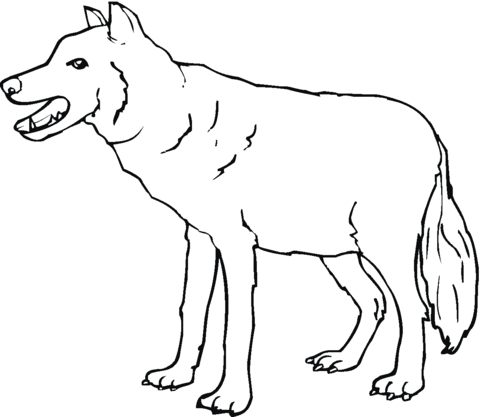 Wolf Coloring page