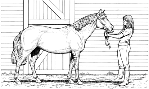 Woman and Mare Horse Coloring page