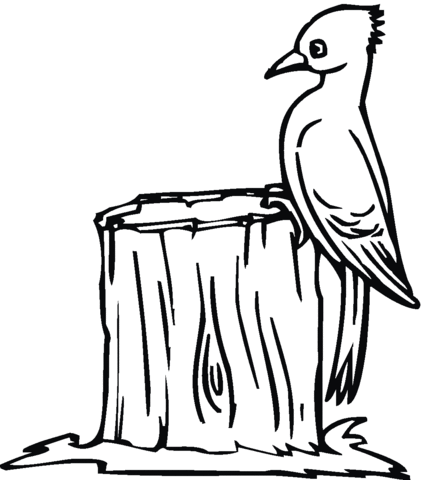 Woodpecker 18 Coloring page