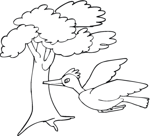 Woodpecker 23 Coloring page