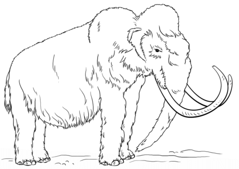 Woolly Mammoth Coloring page