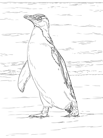 Yellow Eyed Penguin Coloring page