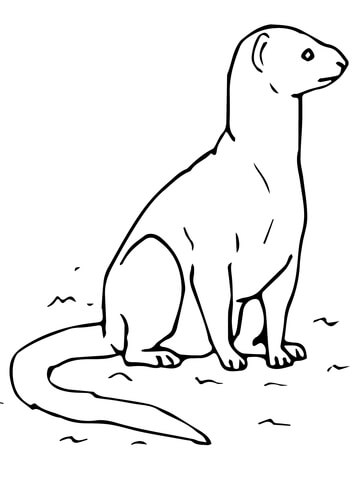 Yellow Mongoose Coloring page