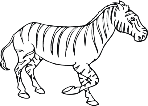 Zebra 11 Coloring page