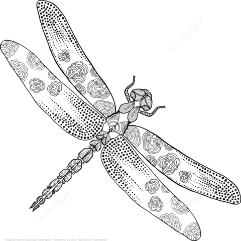 Zentangle Dragonfly Coloring page